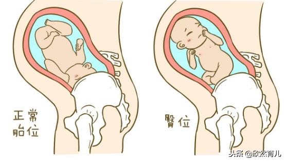 孕晚期孕妈怎么数胎动,孕晚期胎动有规律的一跳一跳