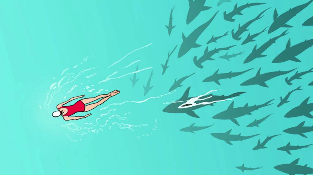 鲨鱼的视觉嗅觉听觉哪个强,鲨鱼有什么特殊的本领