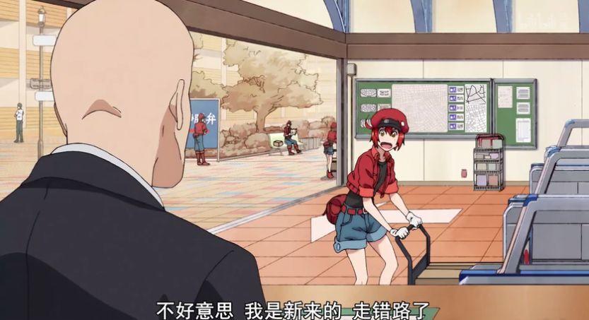 必须再夸一次这种「卖肉片」