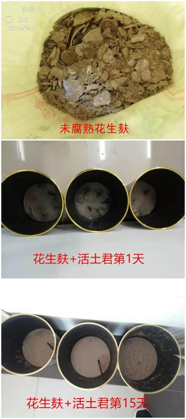 花生麸发酵用糖蜜好还是红糖好,花生麸水肥发酵用红糖还是糖蜜好