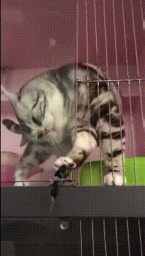 滴滴打车当年烧了多少钱,滴滴打车经历了哪些危机