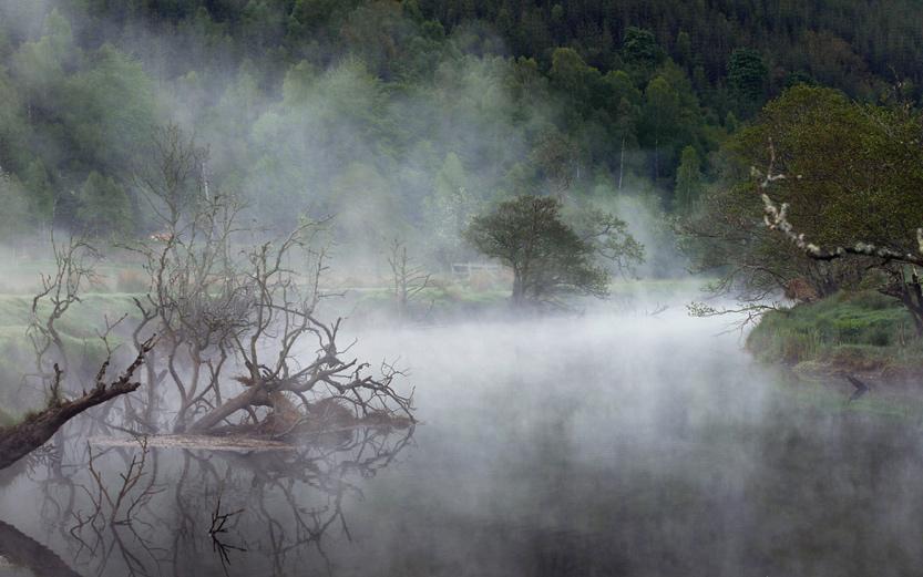 拍案惊奇湖中女尸完整版,拍案惊奇离奇案件