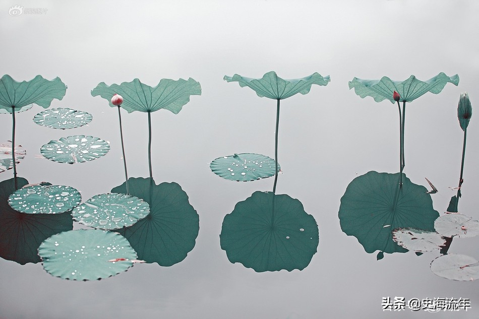 山东高校学费最新政策,山东高校学费一览表最新消息