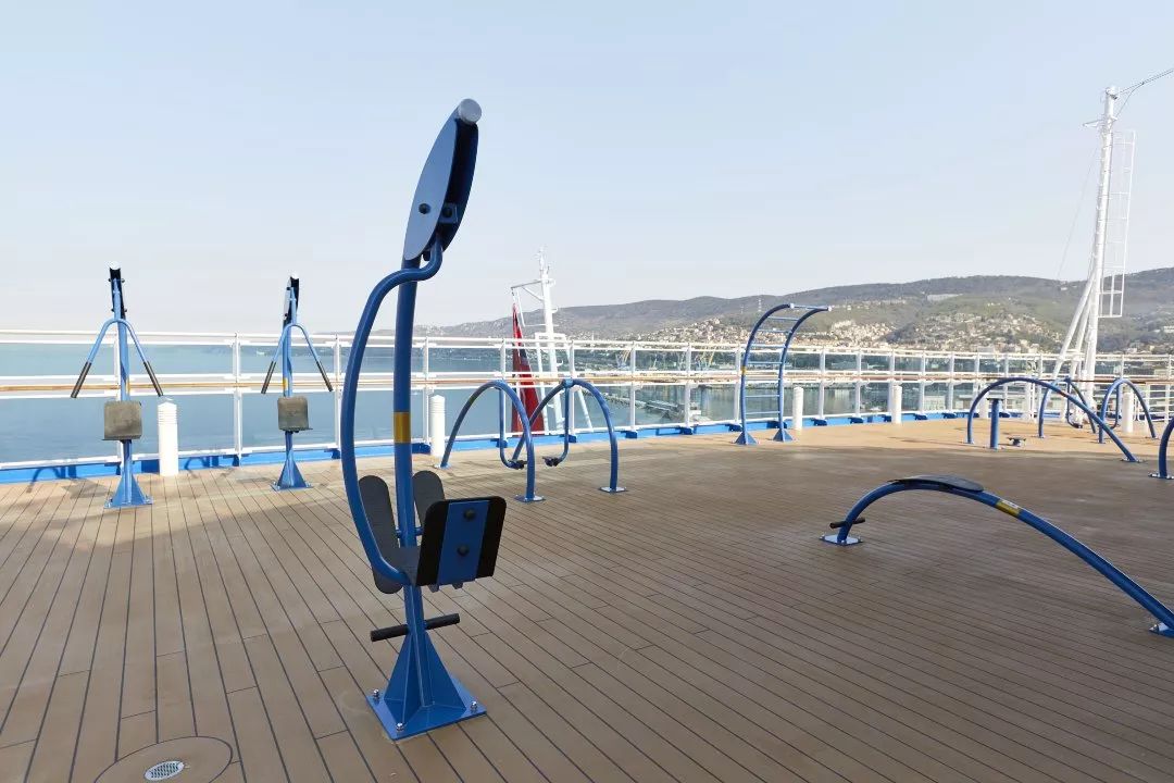 什么邮轮,哪个邮轮最好吃