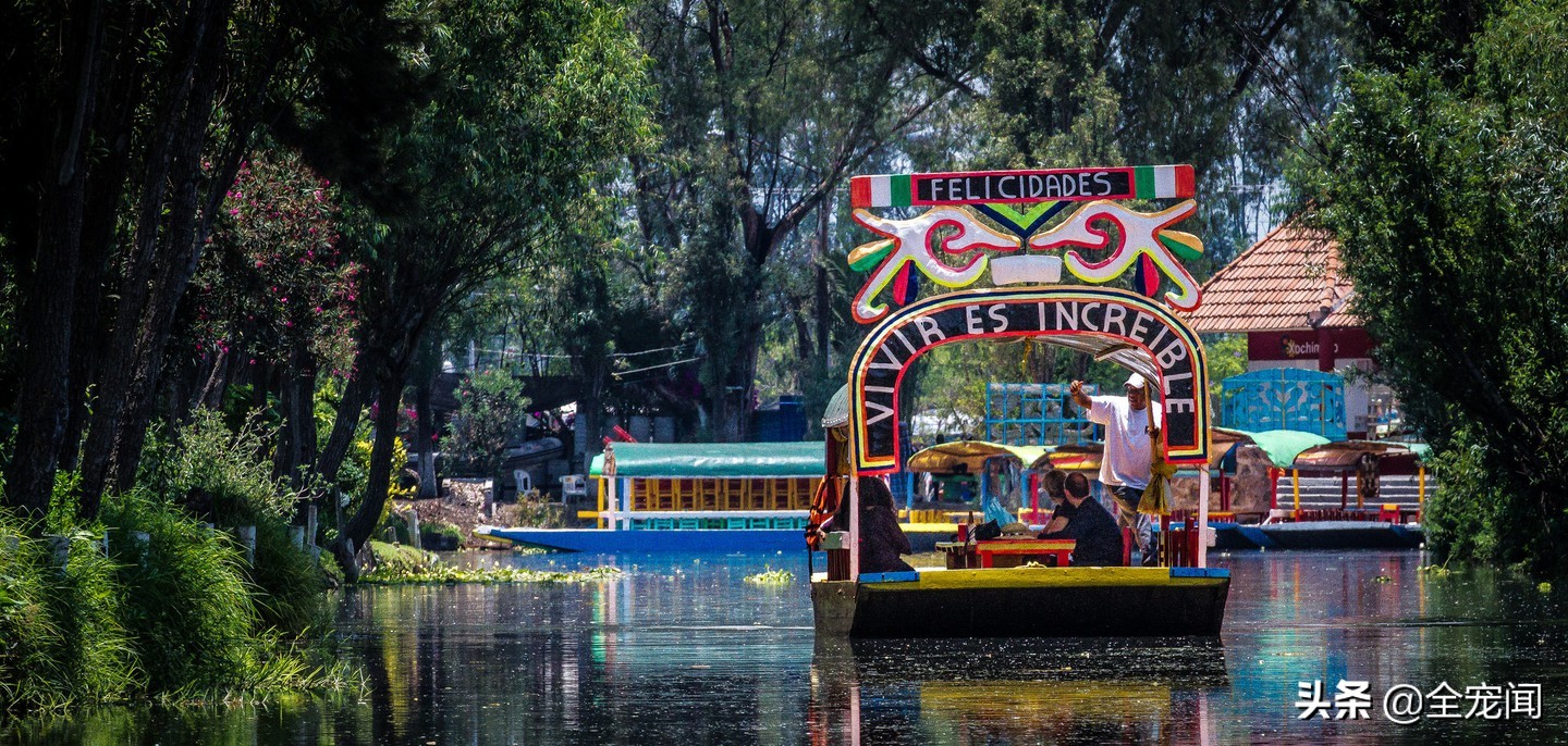 六角恐龙鱼和美西螈有区别吗,水族观赏六角恐龙