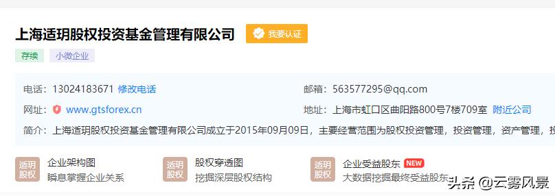gts外汇最新消息,gts外汇如何
