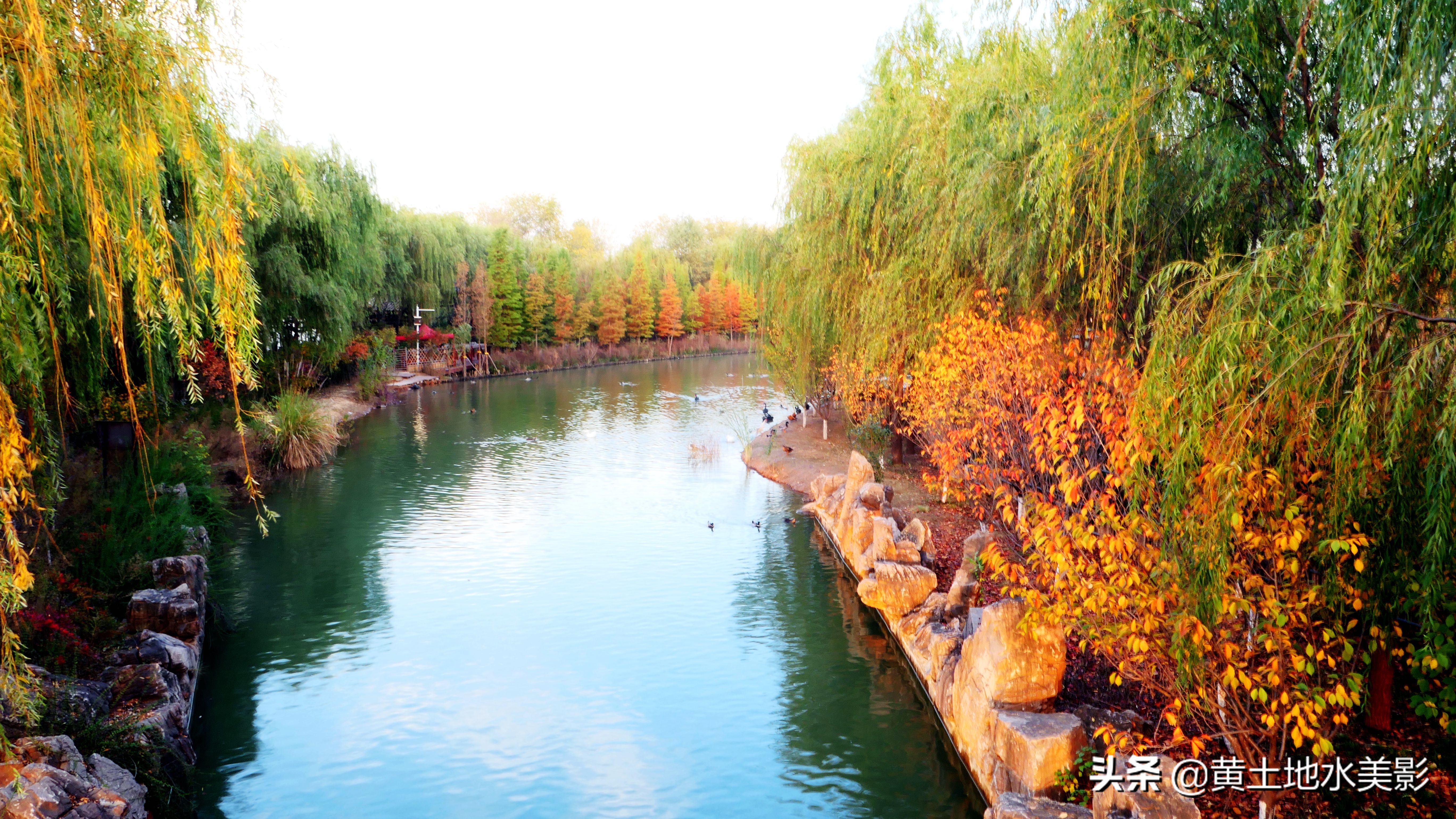 免费游玩东湖公园攻略,游玩国家湿地野鸭湖