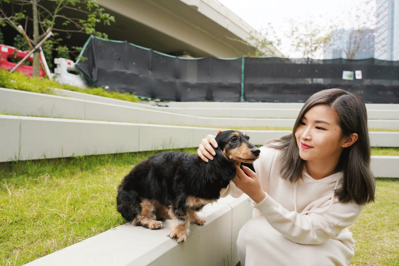 夫妇自驾游遇到狗狗怎么办,夫妻带着狗狗去旅行