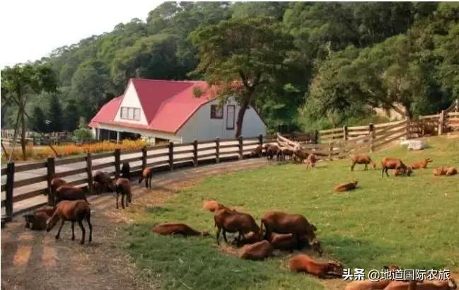 台湾乡村田园旅游案例分享,6个创意乡村旅游综合体
