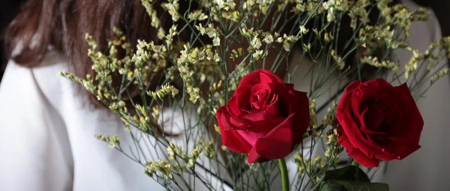 一篇文章掌握心理学,一篇文章告诉你为什么要用apollo