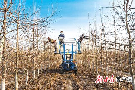决战决胜脱贫攻坚原文,脱贫攻坚书写收官答卷