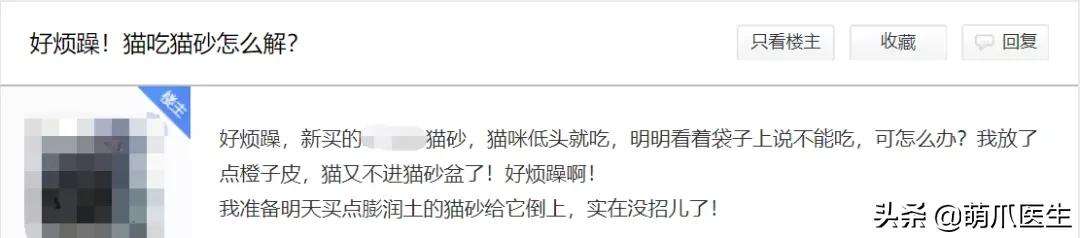 猫突然喜欢咬东西,怎么改掉猫吃猫砂的毛病