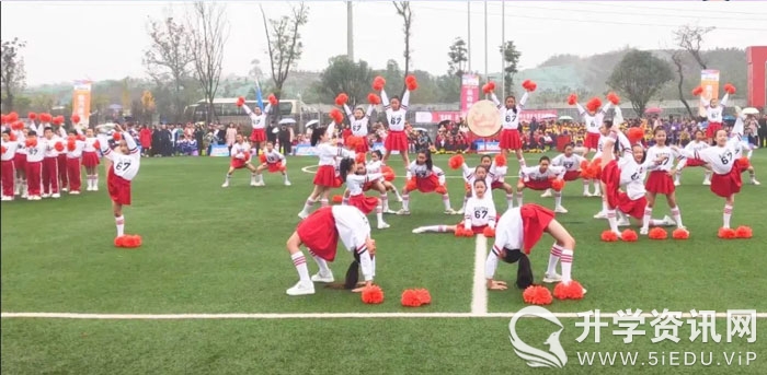 三岔河小学教师招聘,成都市东部新区教师公开招聘