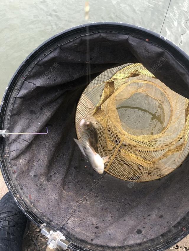 水底小鱼多就会没大鱼,自然水域没鱼情