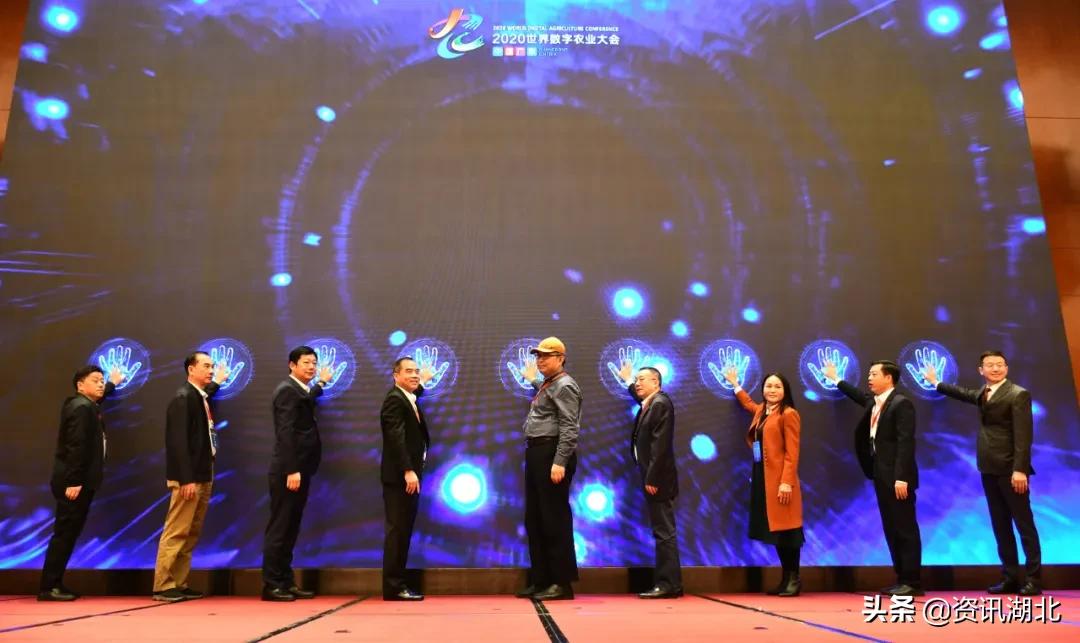 正大集团现代化养猪基地,正大集团生猪项目