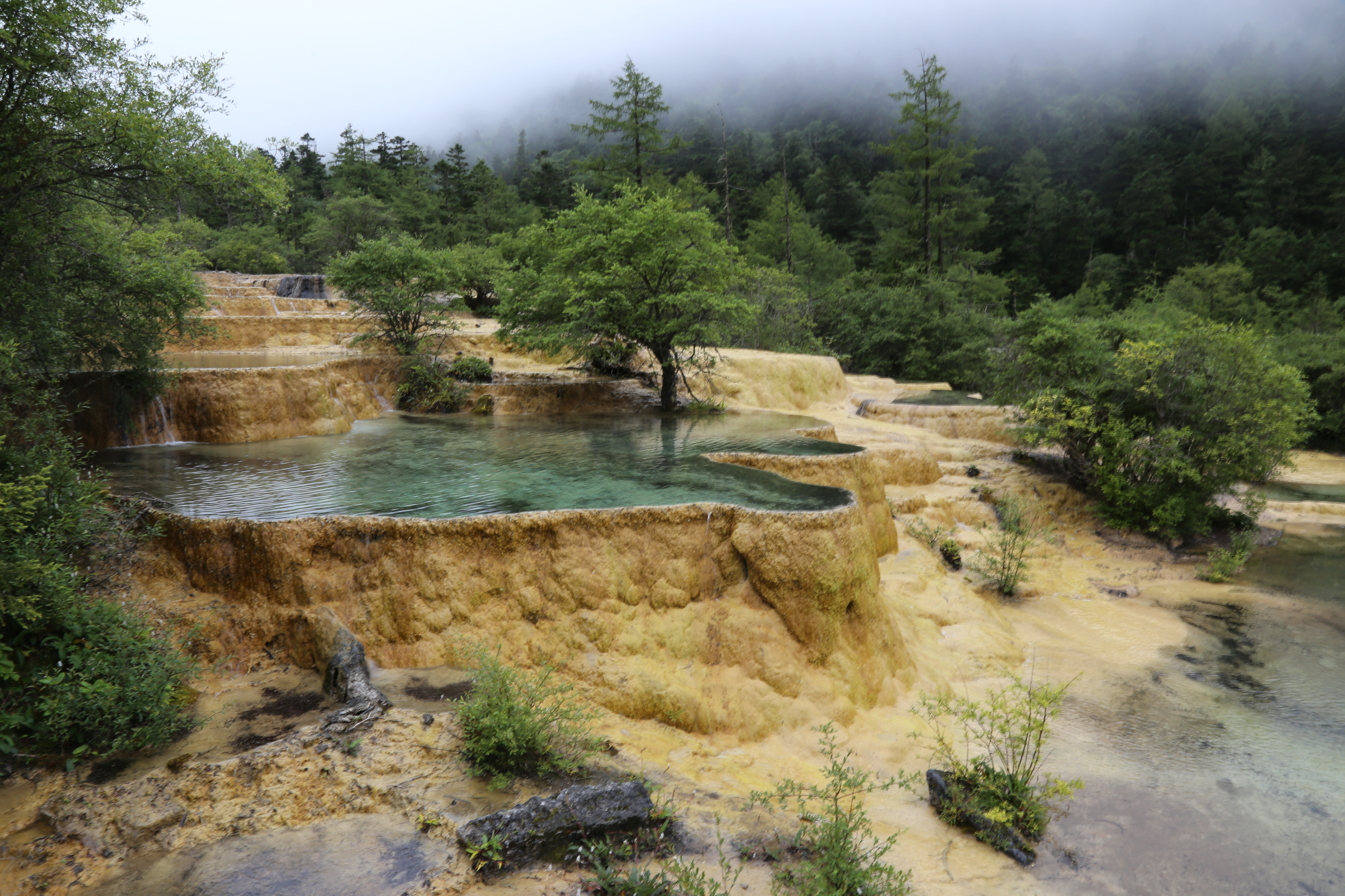 自驾游六——四川黄龙景区随笔