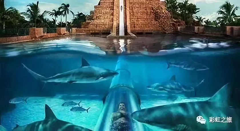 迪拜旅游最全最完美最实用攻略,迪拜自由行旅游攻略详解