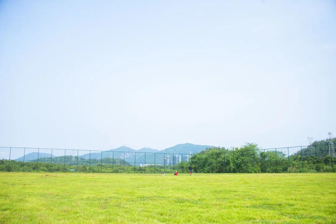 你们不在，我替你们好好逛携创的新足球场，喵~