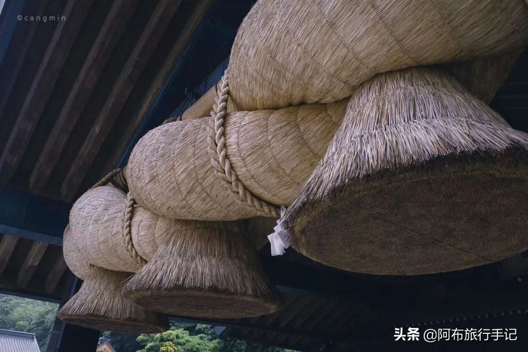 逛古寺逛神社感受日本京都的韵味,日本冷门的神社