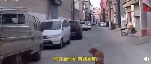 民警收到“红牌警告”：立即停止工作