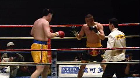 散打王一战成名,中国散打王腿法集锦