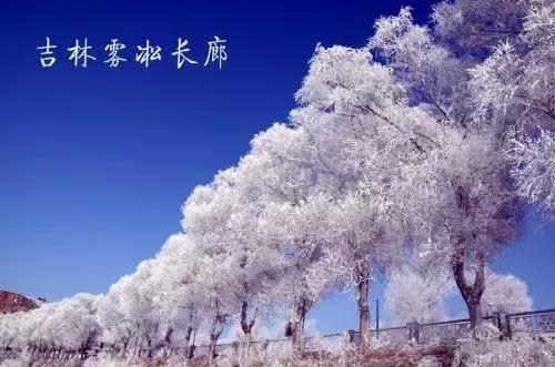 中国31省市实力排前五的大学最全盘点！火速存档！