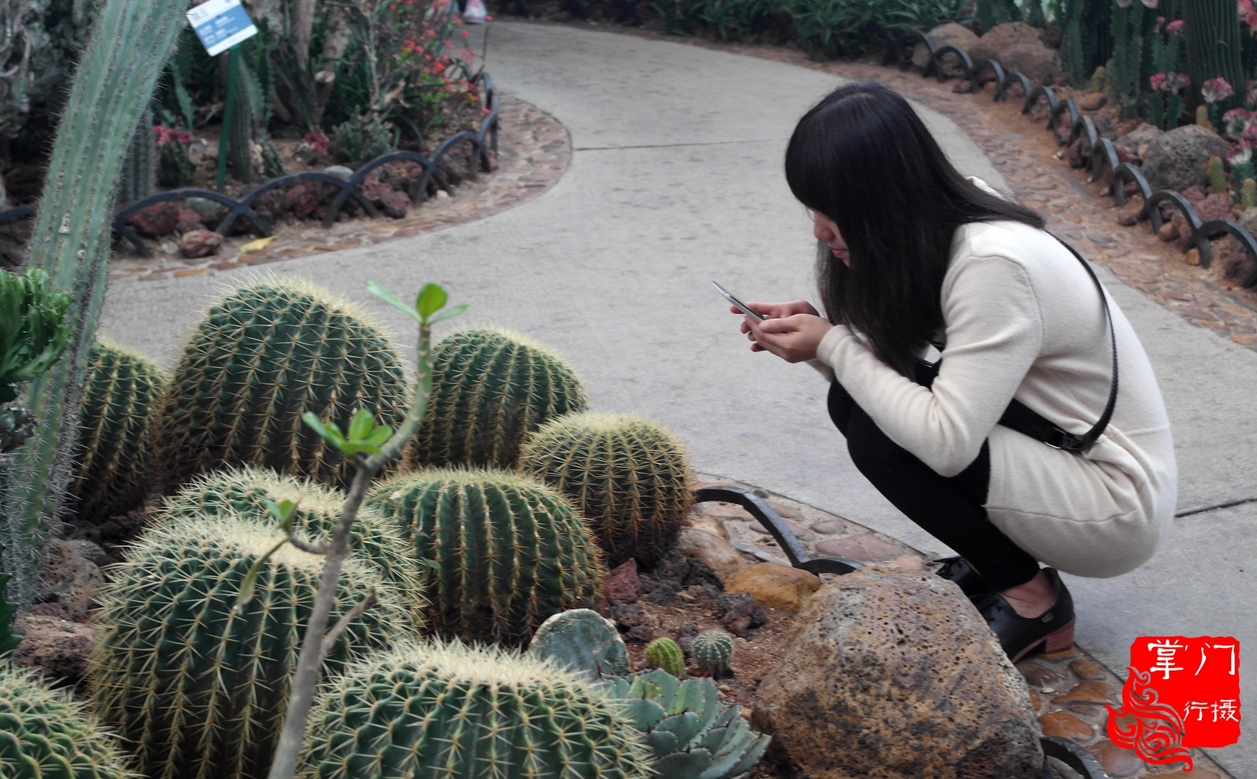 广州白云山游记一次身心愉悦之旅,广州白云山云台旅游