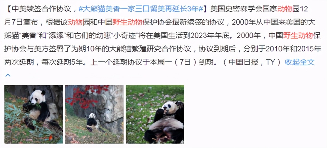 嘿，我想和你做朋友，不想当国宝