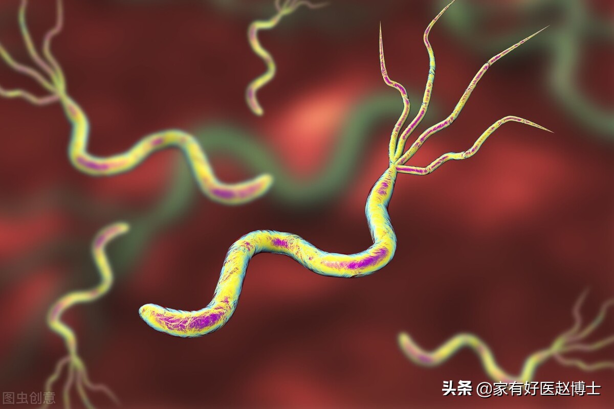 细菌、病毒、寄生虫也可致癌？防癌，务必远离7大常见致癌病原体