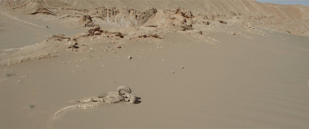 曼达洛人第二季全集详细解说,曼达洛人第二季警长女扮演者