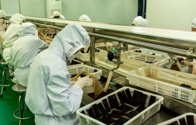 福牌阿胶董事长杨福安是哪里人,福胶集团老总杨福安