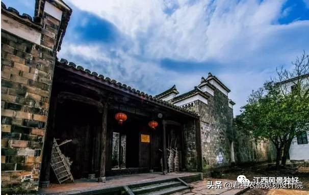 鄱阳湖候鸟保护区站长是谁,鄱阳湖候鸟江西都昌县