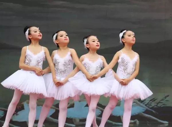 重庆一路向北的区域,重庆哪个板块教育好