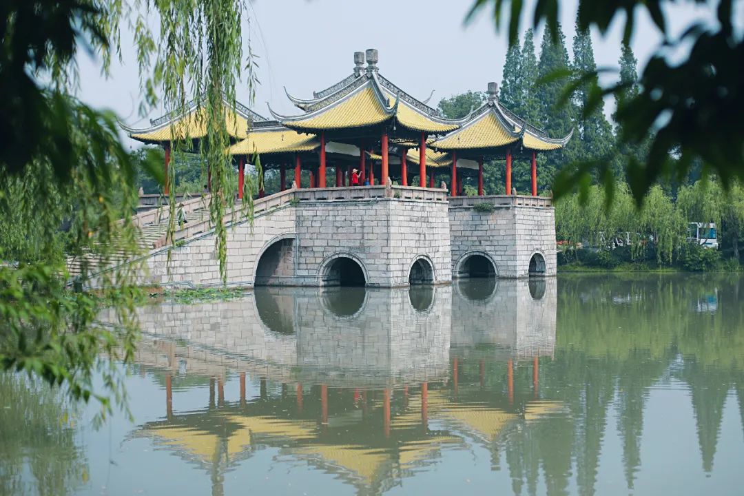 扬州旅游优选,扬州这个季节值得去玩的地方