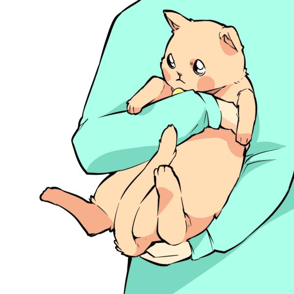 猫咪尾巴竖起来是什么意思,猫咪尾巴各种姿态含义