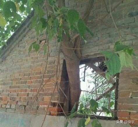 关于聚餐的幽默笑话大全,群友聚餐的幽默笑话