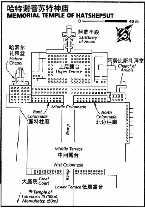 埃及版武则天：心比天高，死后被“除名”的女法老哈特舍普苏特