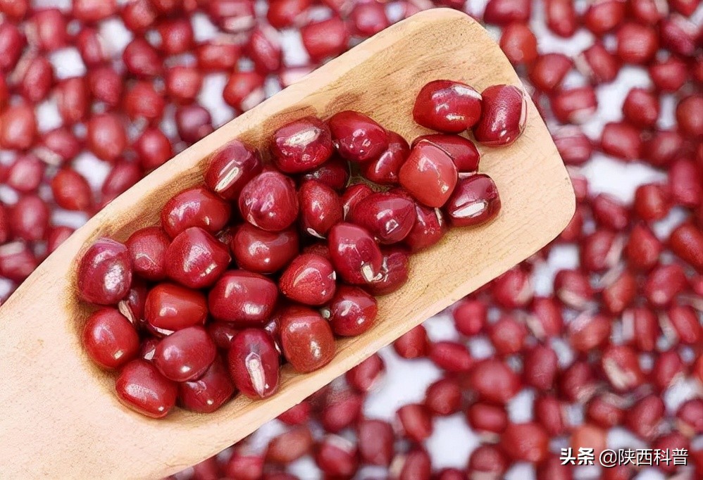 科普日锦囊——新一轮连阴雨来了，注意防范“雨天病”！