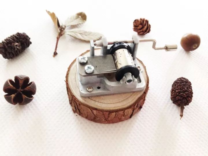 她31岁放弃北漂，回归自然，用枯枝败叶，打造了一个梦幻森林