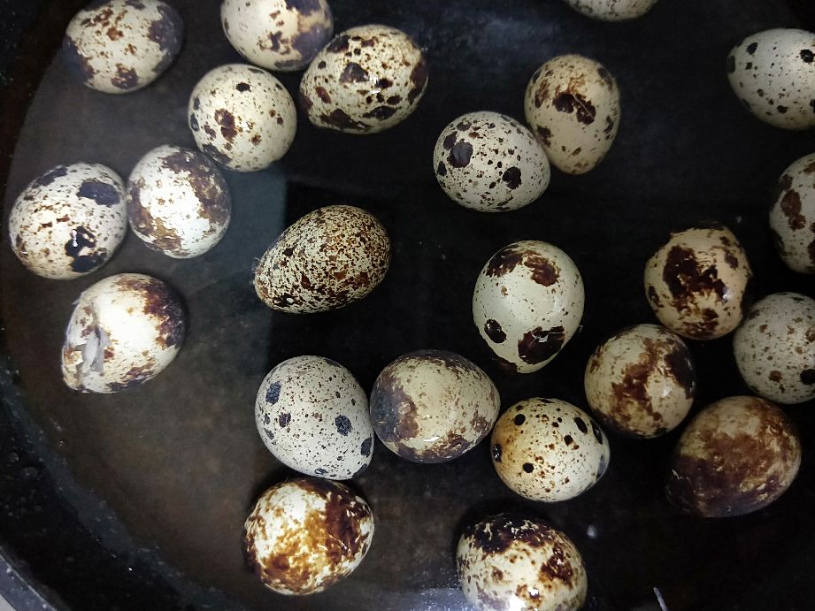 鹌鹑蛋有什么营养健脑,鹌鹑蛋补脑丸