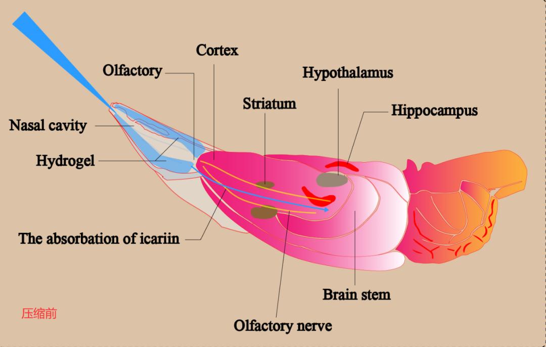 怎样提高图片的内存,内存小的图片大小怎么变大