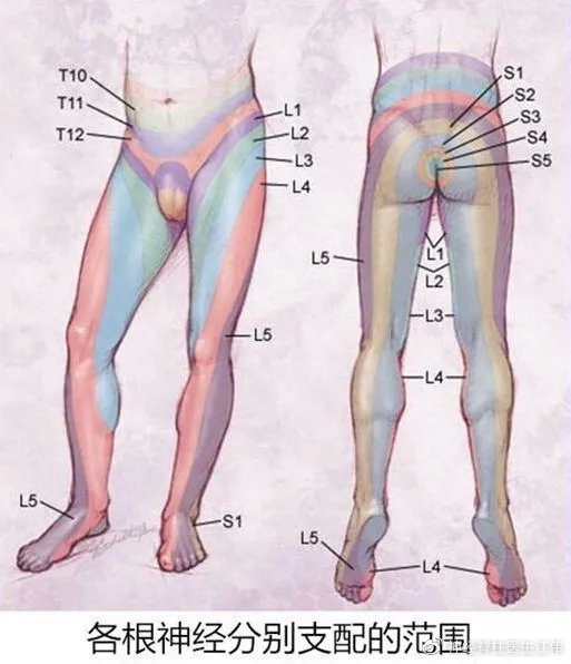 骶管囊肿介入治疗最新进展,骶管囊肿可以鉴定出来吗