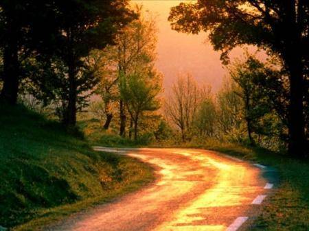 怎么自己缓解焦虑情绪,胆小怕事遇事就很紧张焦虑怎么办