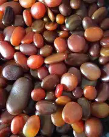 玉石鉴别最简单方法原石,沱江玉石原石的鉴别