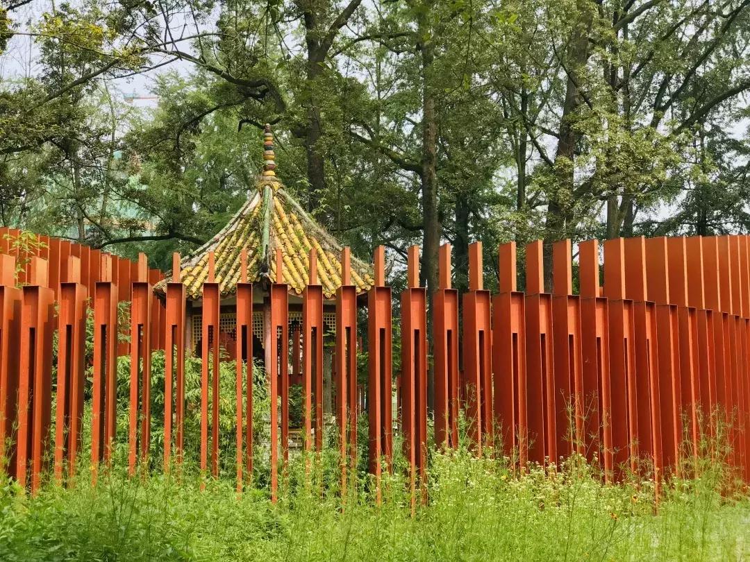 每个郫筒二小毕业的，都是在石牛公园耍大的