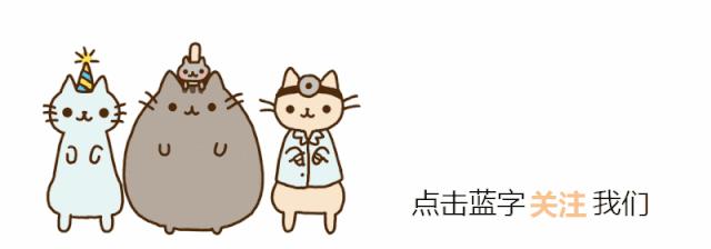 猫咪遇到危险找谁救援,猫咪被撞内伤几天恢复