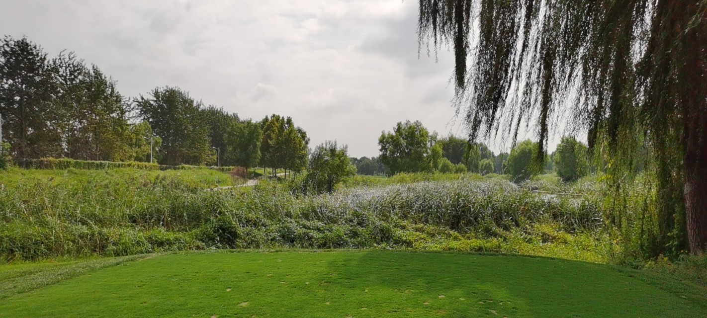 白洋淀高尔夫运动休闲公园,白洋淀美芦高尔夫