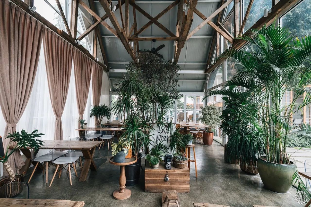 sasa，西西，设计师老王和三圣乡的“亲家DearHome”