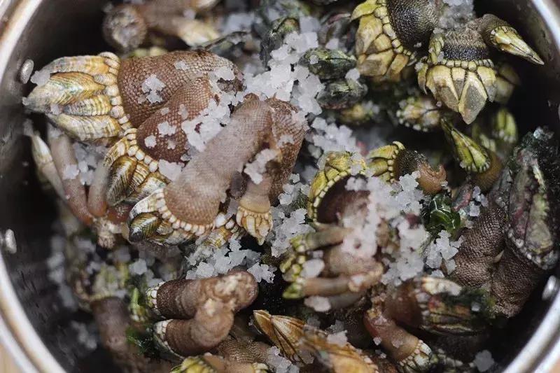 潮汕生腌生猛海鲜,潮汕生腌海鲜一口吃完