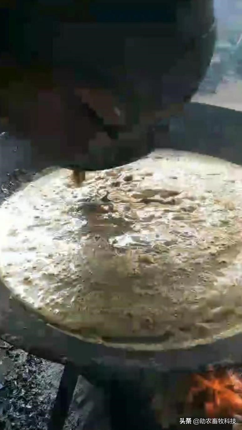 坏鸡蛋扔掉,快过期的鸡蛋怎么大批量处理